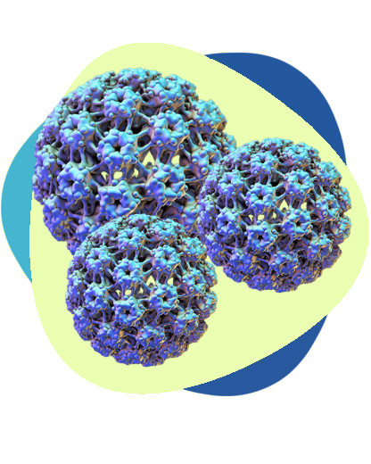 ویروس پاپیلوم انسانی (HPV)